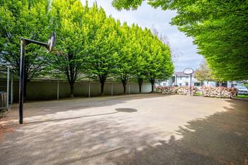 Basketball court